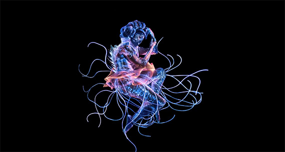 uv underwater photography