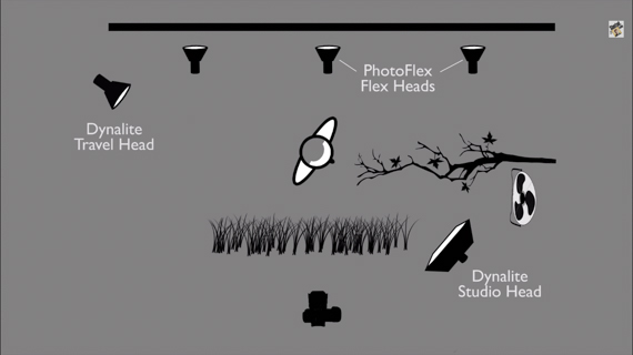 studio portrait lighting arrangement