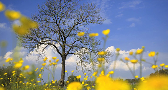 framing-and-focus-photography