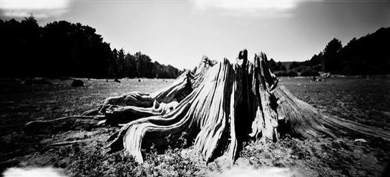 amazing pinhole camera photos