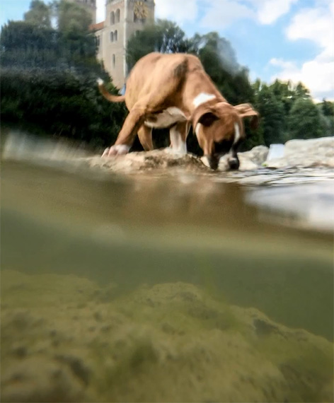 underwater-smartphone-photography