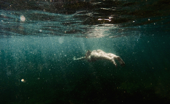 artsy underwater photography