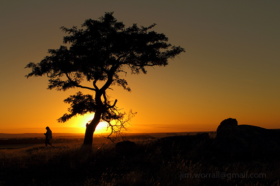 silhouette photography