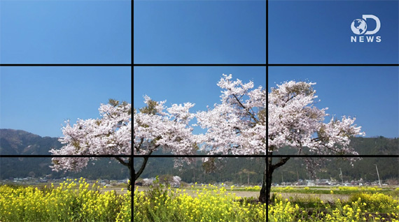 how to use the rule of thirds in photography