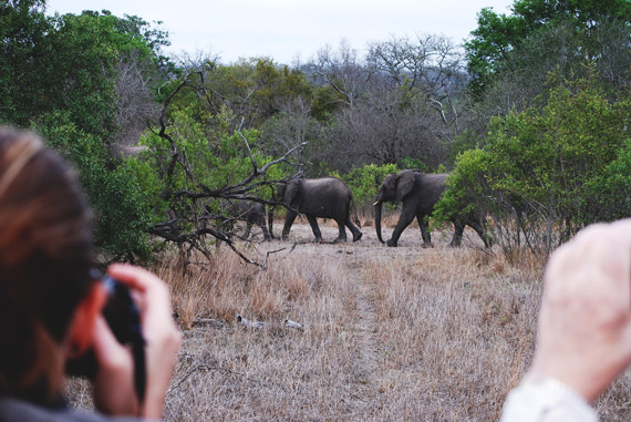 fearless photography