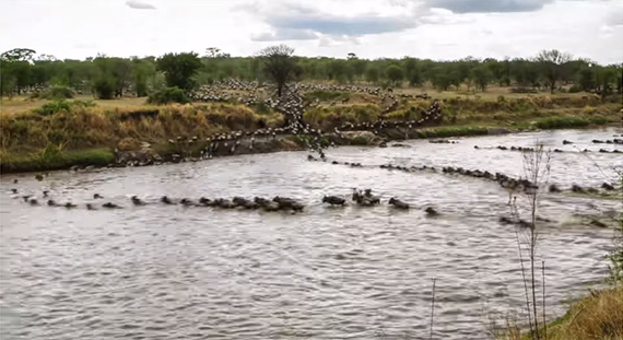 timelapse tripod africa