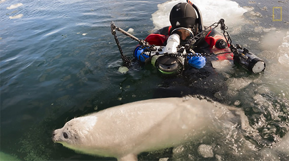 national geographic tinkerer in photography