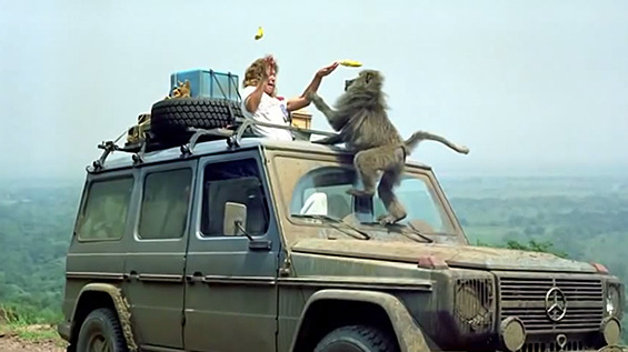 baboon on car photo
