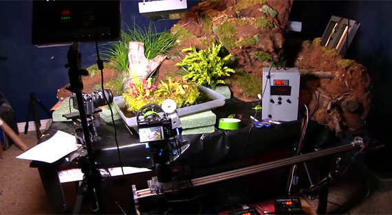 Field's equipment setup, featuring two cameras, a control module, and an impressive collection of carnivorous plants.