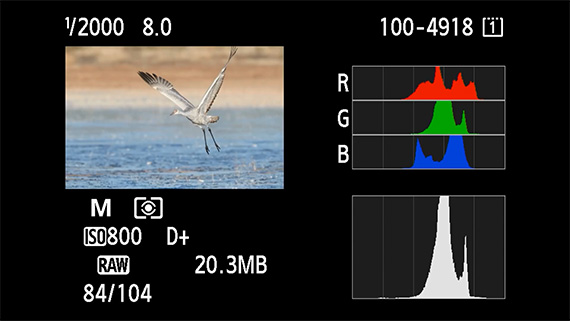 photography histogram