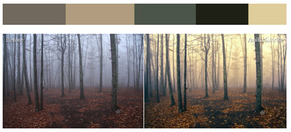 foggy woods topaz photo effects