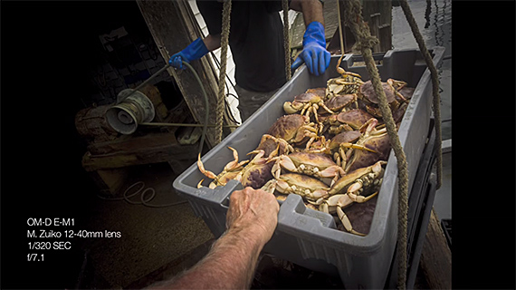 new england lobstermen photo