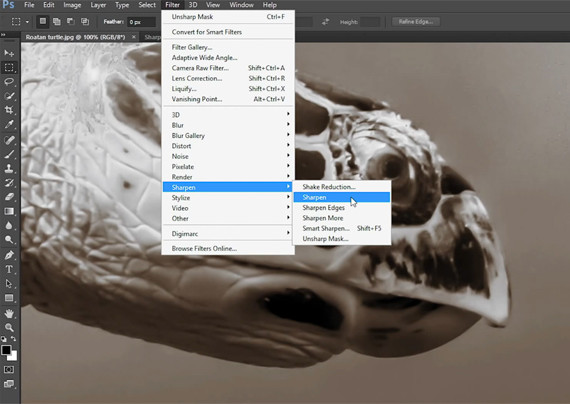 The Sharpen submenu provides several different Sharpen functions.