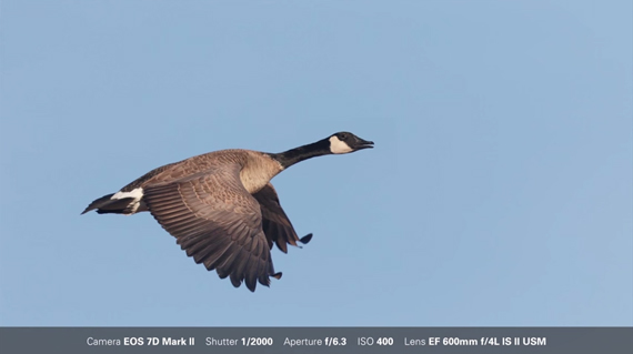 scouting locations for bird photography