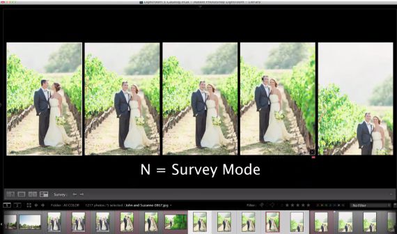 lightroom survey mode