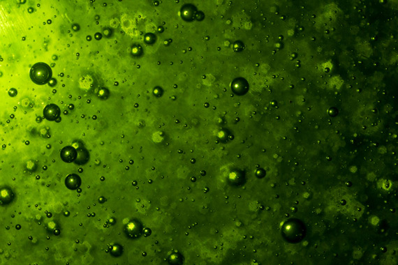 macro green bubbles