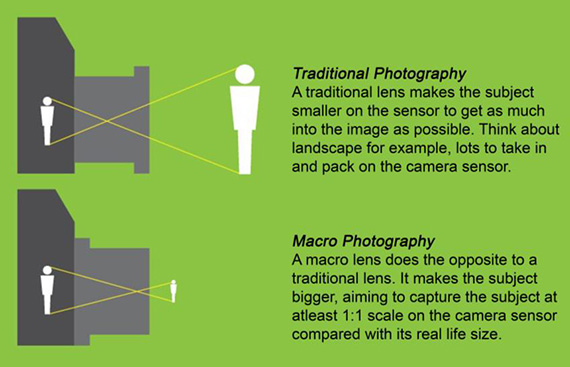 diagram comparing traditional and macro photography