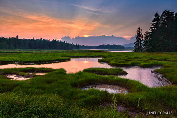 wetland landscape at sunset