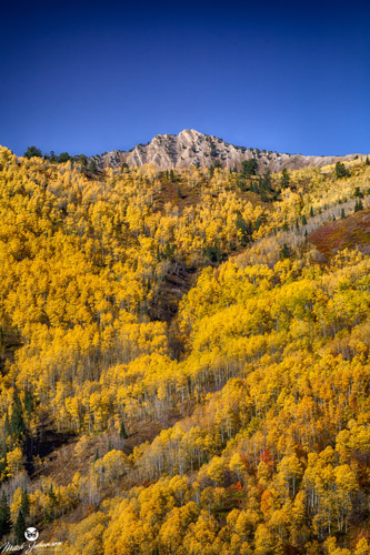 mountain landscape in autumn