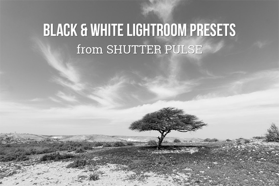 black and white lightroom presets