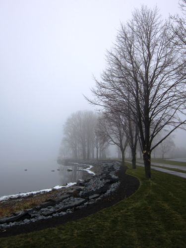 gray foggy landscape