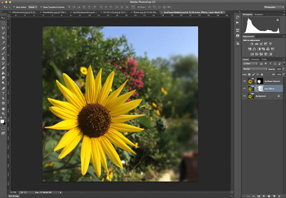 topaz remask blur interface