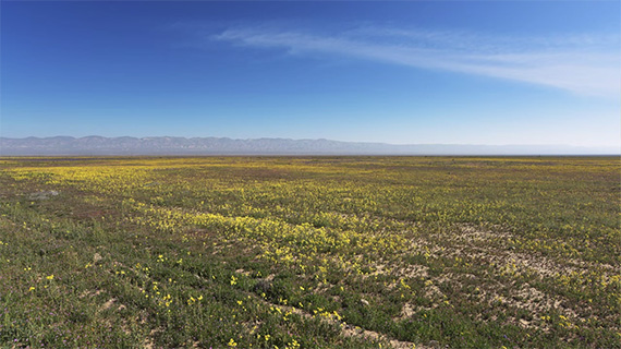 How to shoot great landscape photos