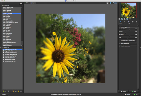 topaz remask blur flower background