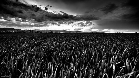 black and white landscape