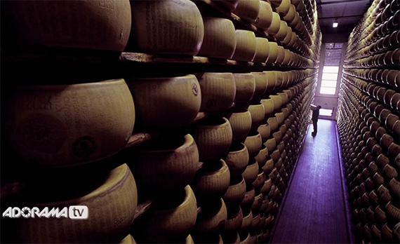 parmesan cheese wheels with a wide angle lens