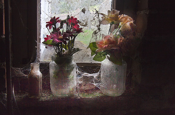 vase flowers photography