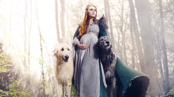 wolf dogs germany pregnancy photo