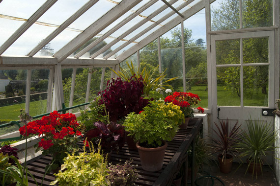 greenhouse with potted plants