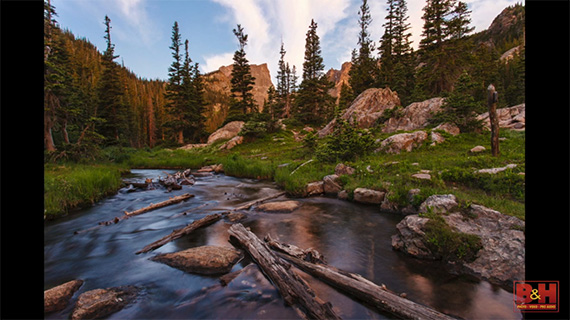 Robert Rodriguez landscape composition