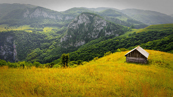 open field photo