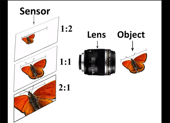 macro perspectives 