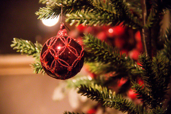 christmas photography