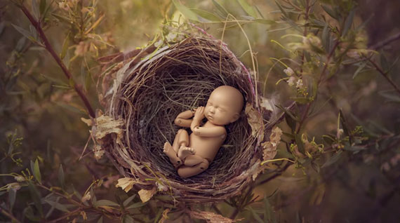 anne geddes photography