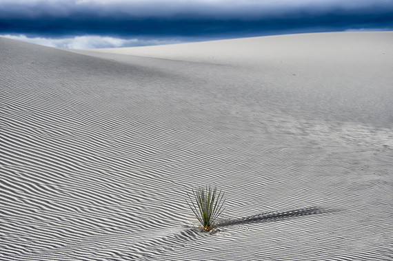 desert landscape