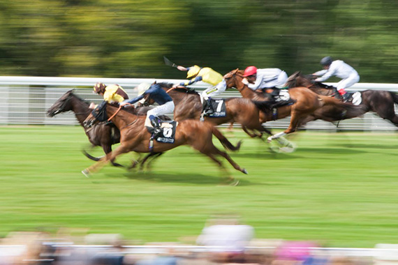 horse race photography