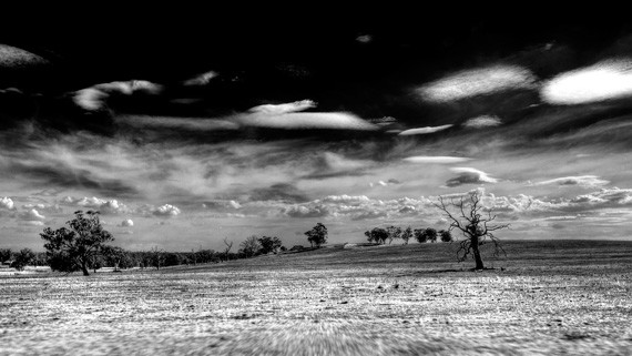 black and white landscape