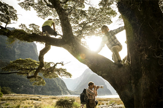 new zealand tree climbing dad brothers sons