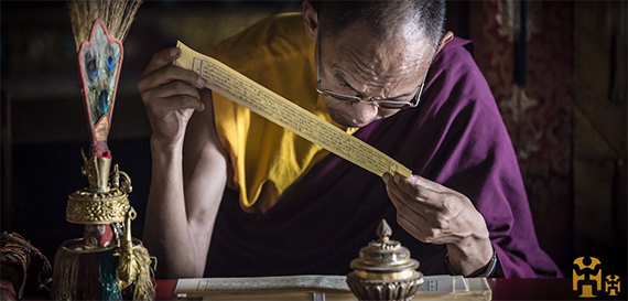 monk buddhist text scroll ancient study monastery