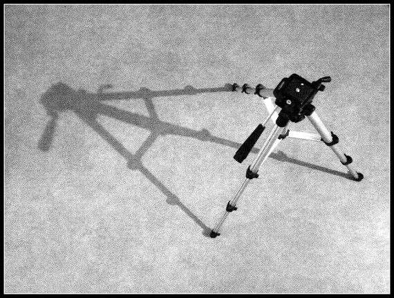 camera tripod tips