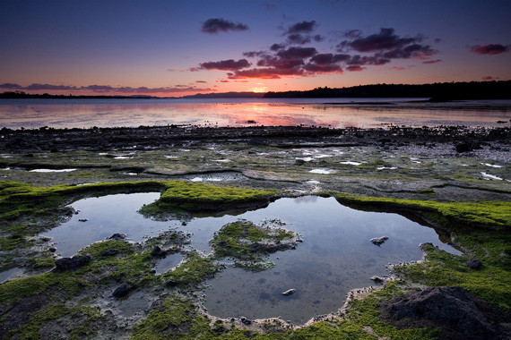 new zealand photography