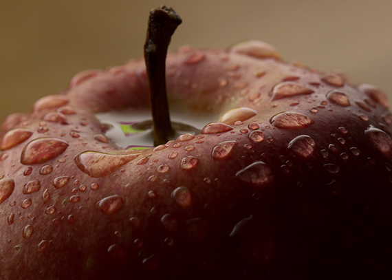 apple macro