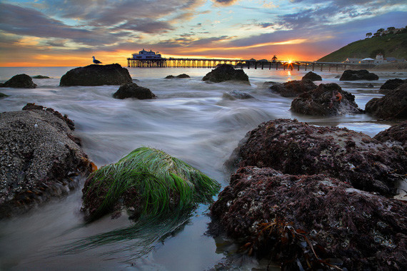 california sunset photo