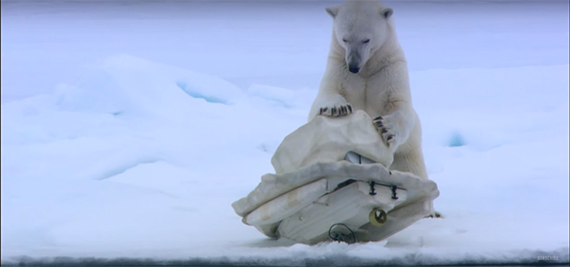 ice arctic polar bear bbc spy camera cams svalbard