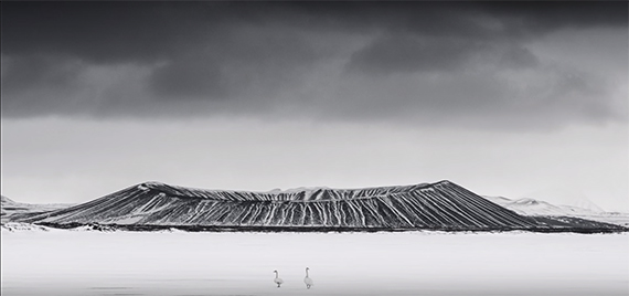 geese birds ducks mountain snow snowdrift ice glacier owl