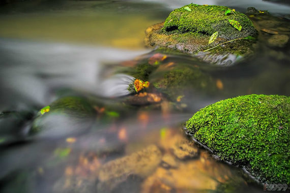 long, exposure, water